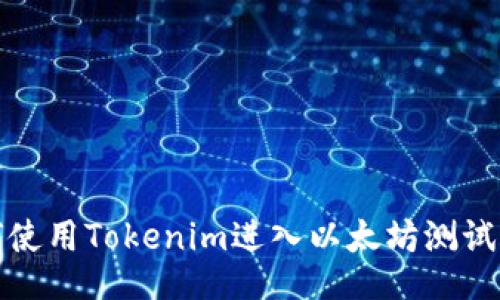 如何使用Tokenim进入以太坊测试网络