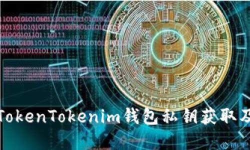 全面了解TokenTokenim钱包私钥获取及安全管理