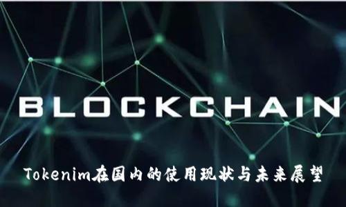 Tokenim在国内的使用现状与未来展望