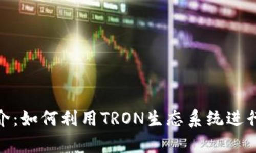 TRX Token简介：如何利用TRON生态系统进行数字资产管理