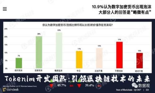 Tokenim开发团队：引领区块链技术的未来