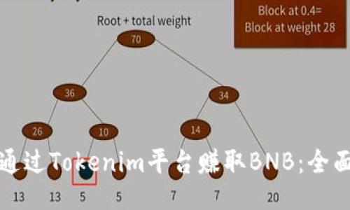 如何通过Tokenim平台赚取BNB：全面指南