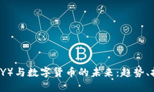 人民币（CNY）与数字货币的未来：趋势、挑战与机遇