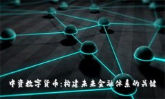 中资数字货币：构建未来