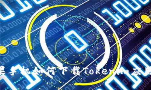 ziaoti苹果手机如何下载Tokenim应用程序详解