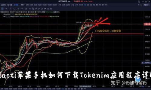 ziaoti苹果手机如何下载Tokenim应用程序详解