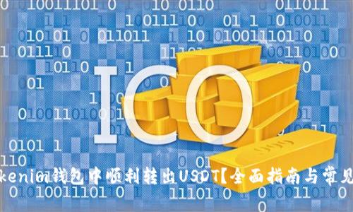 如何在Tokenim钱包中顺利转出USDT？全面指南与常见问题解答