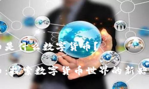 鬼币是什么数字货币？

鬼币：探索数字货币世界的新兴力量