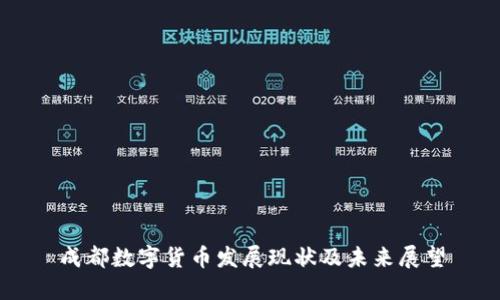 成都数字货币发展现状及未来展望