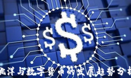 
姚洋与数字货币的发展趋势分析