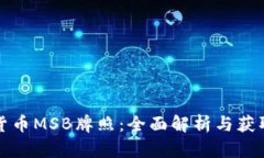 数字货币MSB牌照：全面解