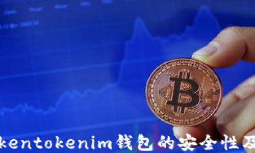 
深入探讨Tokentokenim钱包的安全性及其保护机制