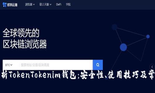 全面解析TokenTokenim钱包：安全性、使用技巧及常见问题