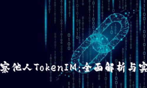 如何观察他人TokenIM：全面解析与实用技巧