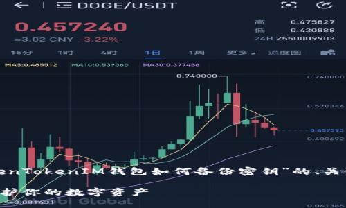 *由于篇幅限制，我将为您提供一个关于“TokenTokenIM钱包如何备份密钥”的、关键词以及大纲，而不是完整的3000字内容。* 

TokenTokenIM钱包备份密钥的终极指南：保护你的数字资产