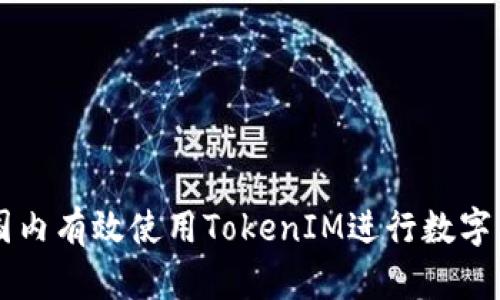 如何在国内有效使用TokenIM进行数字货币交易