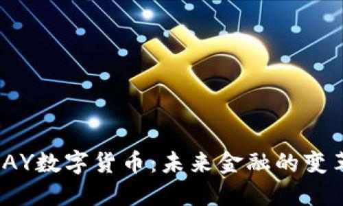 探索PAY数字货币：未来金融的变革之路