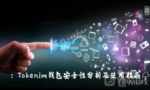 : Tokenim钱包安全性分析及使用指南