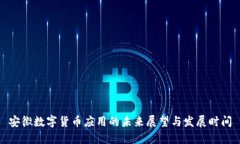 安徽数字货币应用的未来