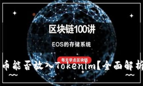 ### 狗狗币能否放入Tokenim？全面解析与应用场景