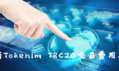 深入解析Tokenim TRC20交易费