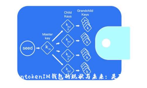 TokentokenIM钱包的现状与未来: 是死是活？