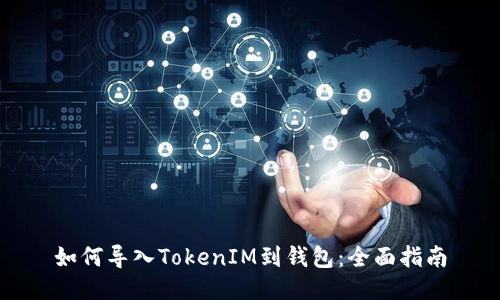 如何导入TokenIM到钱包：全面指南