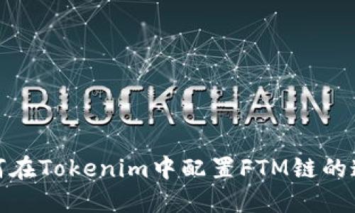 如何在Tokenim中配置FTM链的连接