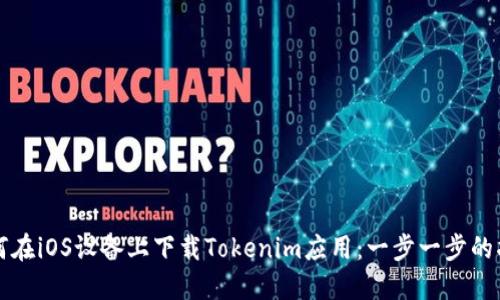 如何在iOS设备上下载Tokenim应用：一步一步的指南