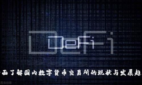 全面了解国内数字货币交易所的现状与发展趋势