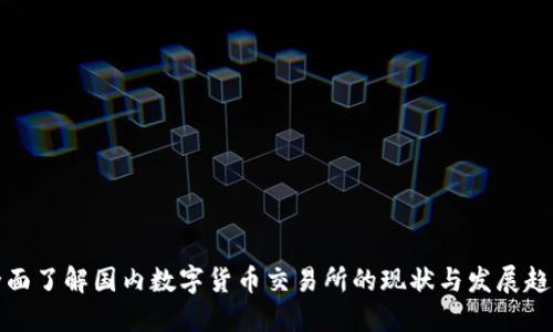 全面了解国内数字货币交易所的现状与发展趋势