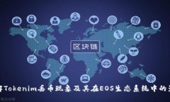 理解Tokenim丢币现象及其在