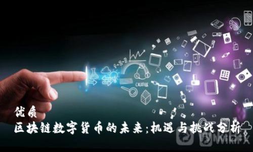 优质  
区块链数字货币的未来：机遇与挑战分析