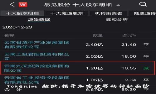 Tokenim 越狱：揭开加密世界的神秘面纱