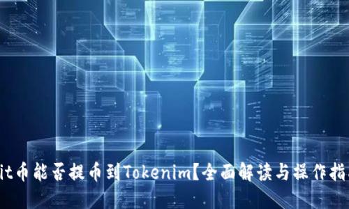 Hit币能否提币到Tokenim？全面解读与操作指南