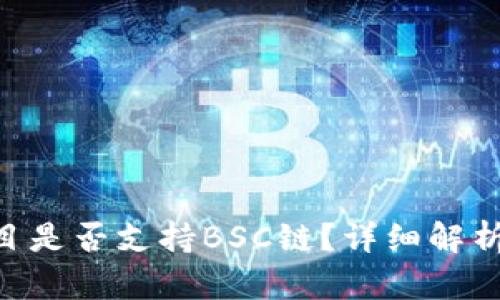 Tokenim项目是否支持BSC链？详细解析与应用前景
