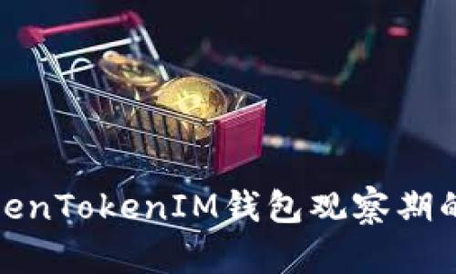 深入探讨TokenTokenIM钱包观察期的意义与影响