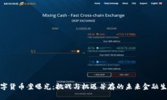 数字货币案曝光：挑战与