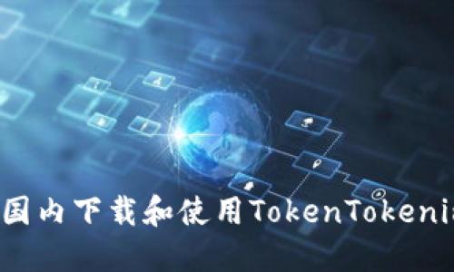 如何在国内下载和使用TokenTokenim钱包？