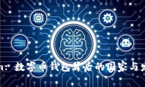 Tokenim: 数字币钱包背后的国家与发展历程