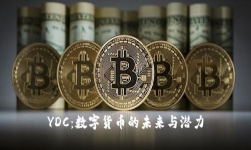 YDC：数字货币的未来与潜力