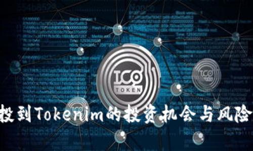 SAT投到Tokenim的投资机会与风险解析