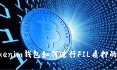 Tokentokenim钱包如何进行F