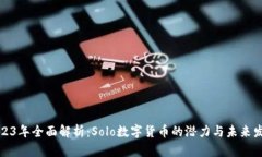 2023年全面解析：Solo数字货