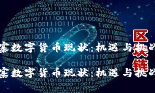 柬埔寨数字货币现状：机遇与挑战并存

柬埔寨数字货币现状：机遇与挑战并存