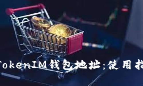 深入解析TokenTokenIM钱包地址：使用指南与安全性分析