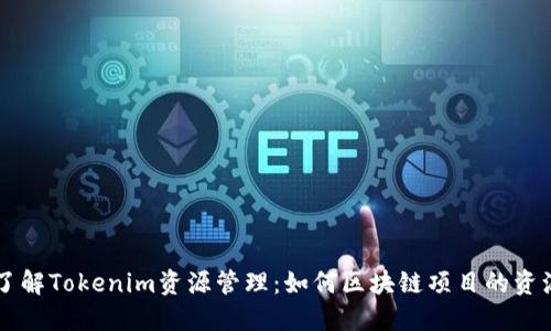 深入了解Tokenim资源管理：如何区块链项目的资源配置