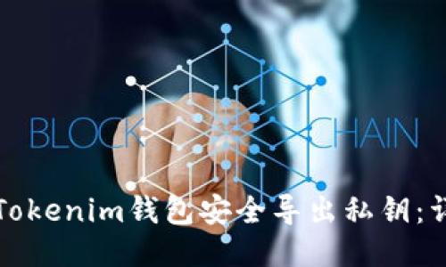 如何从Tokenim钱包安全导出私钥：详细指南