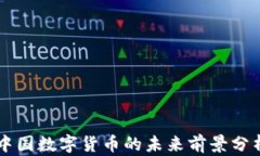 中国数字货币的未来前景