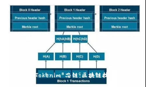 深入探索 Tokenim 芯链：区块链技术的新前沿